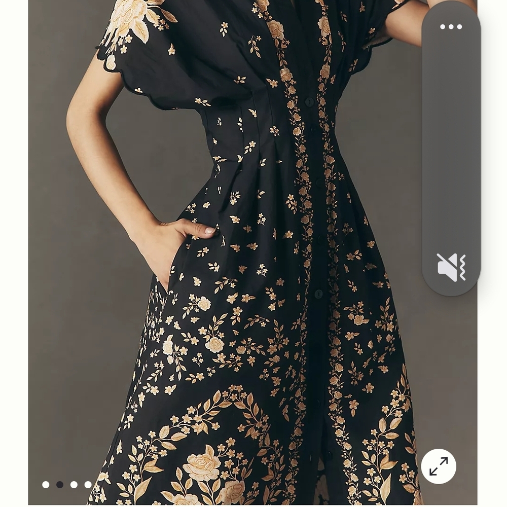 Anthropologie X FARM Rio Black and Gold Floral Midi Dress